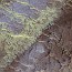 thumbs/E5D_4745.jpg